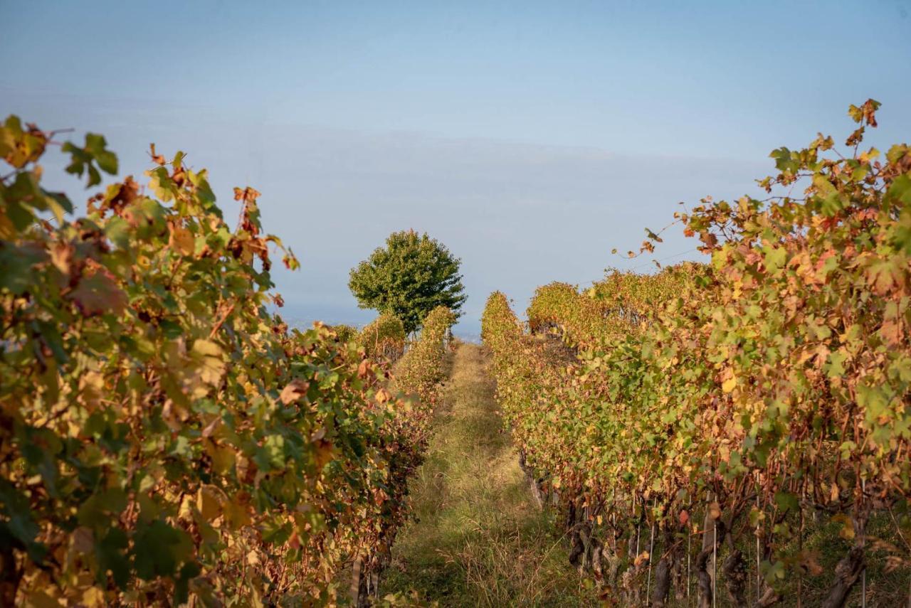Clavesana Agriturismo San Martino מראה חיצוני תמונה