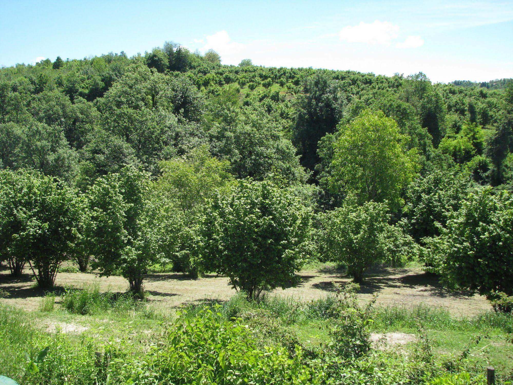 Clavesana Agriturismo San Martino מראה חיצוני תמונה